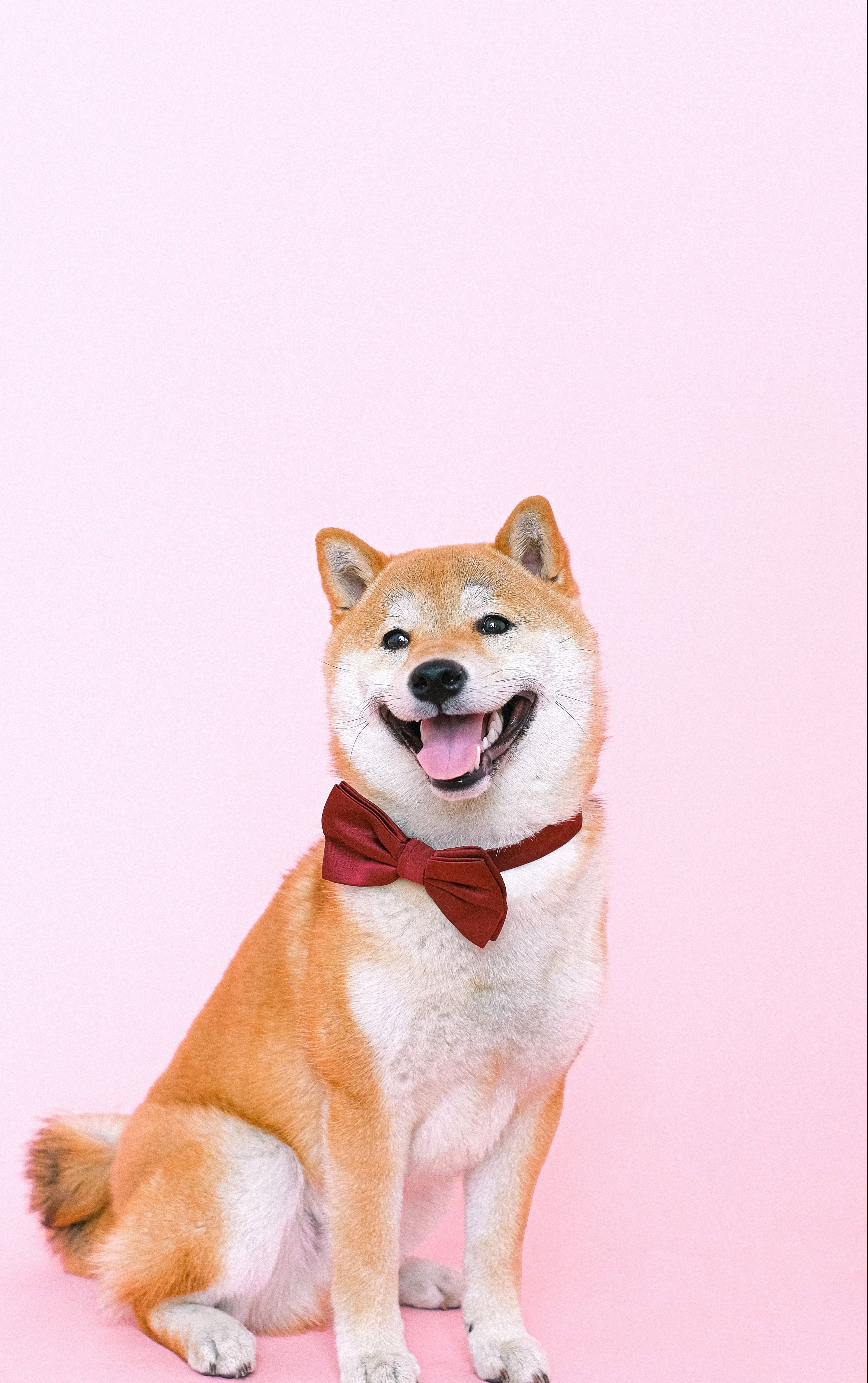 aaaa